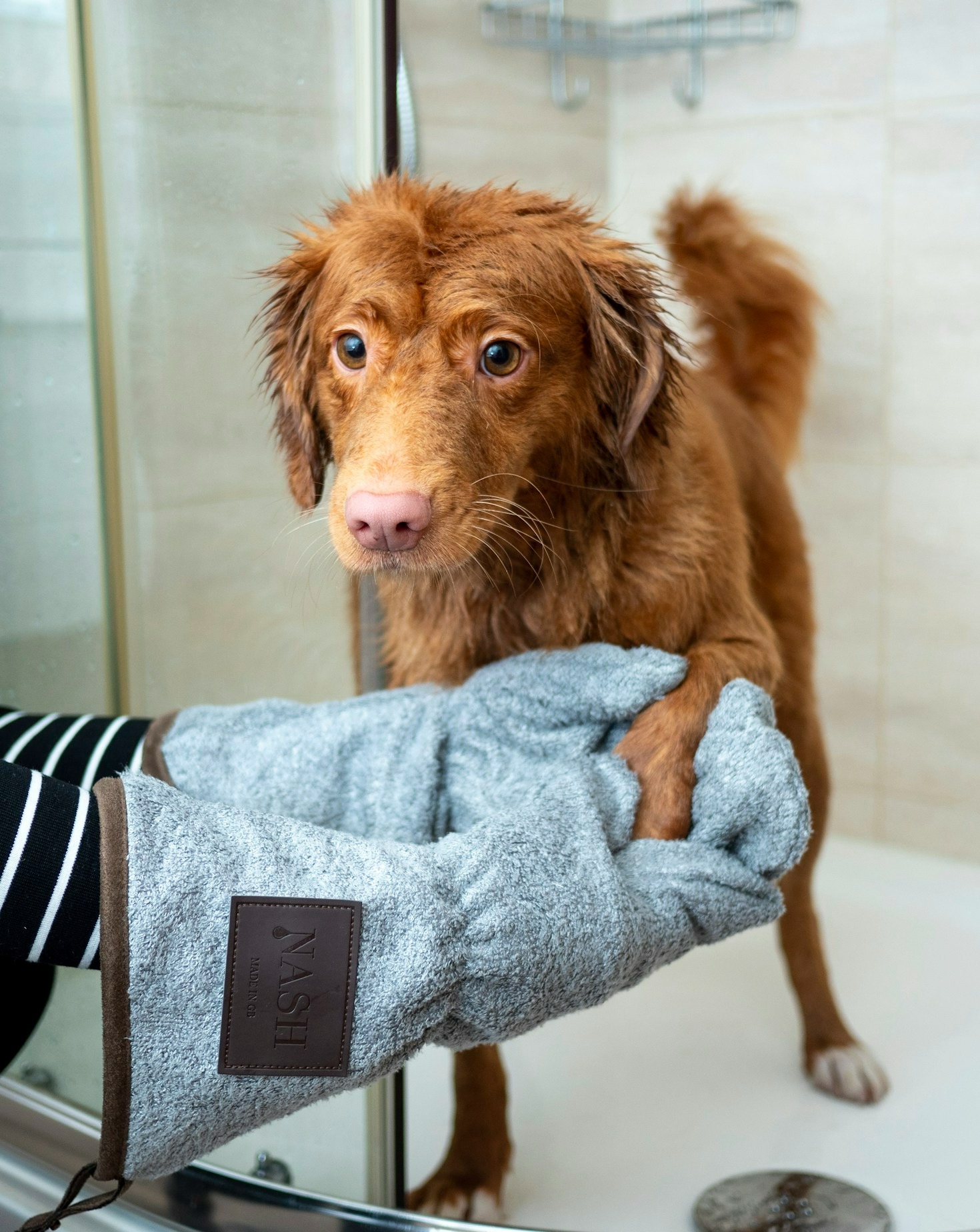Maintaining Comfort and Care During Grooming